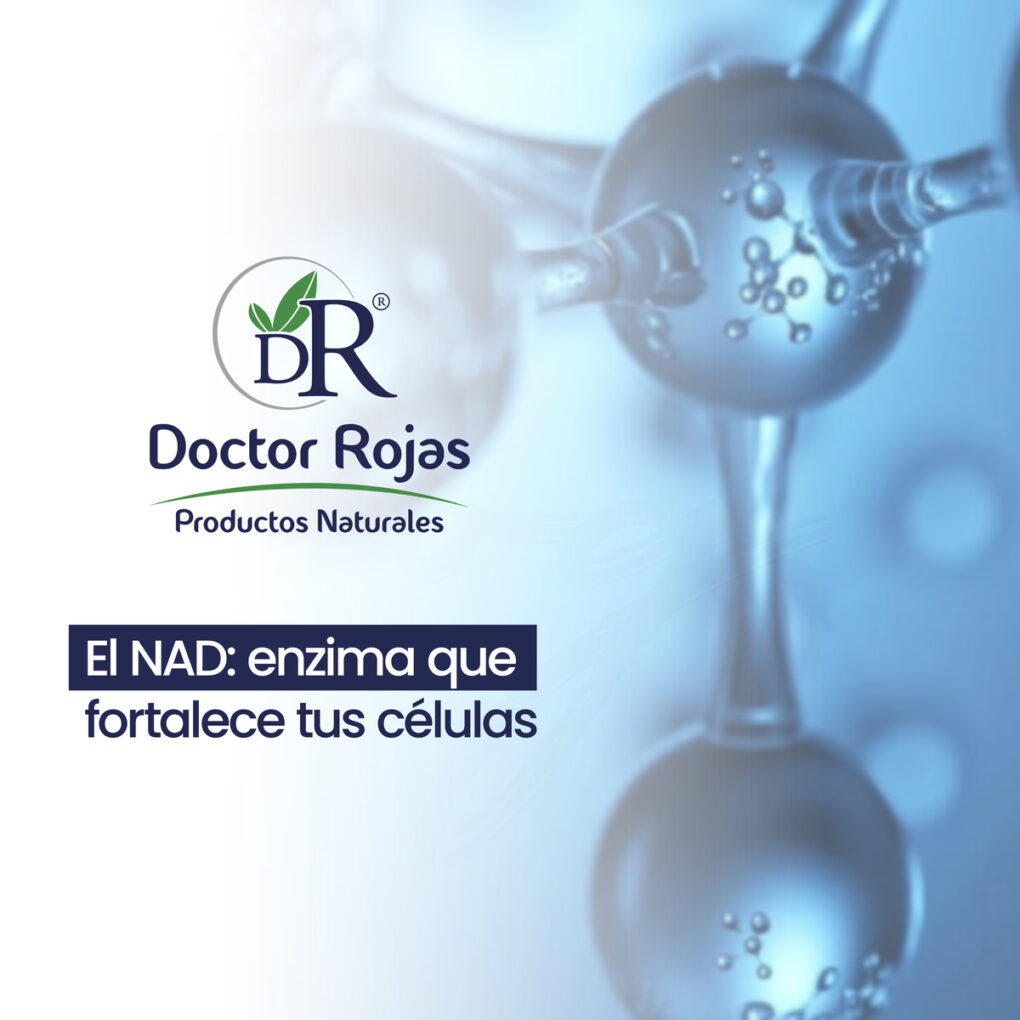 El NAD: enzima que fortalece tus células