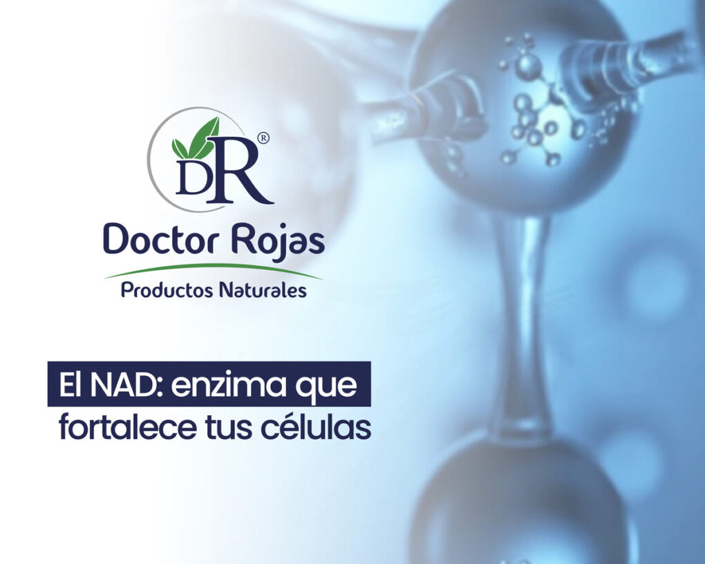 El NAD: enzima que fortalece tus células