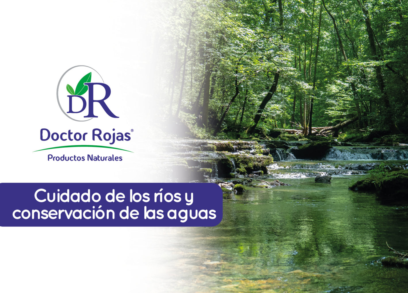 ¡Todos podemos cuidar las aguas!