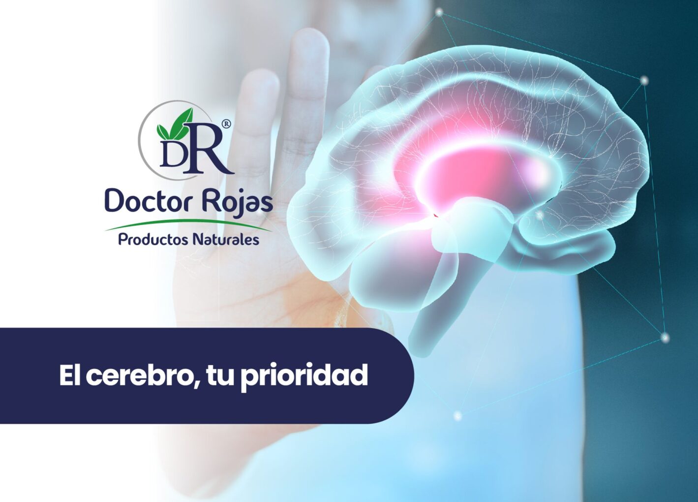 El cerebro, tu prioridad