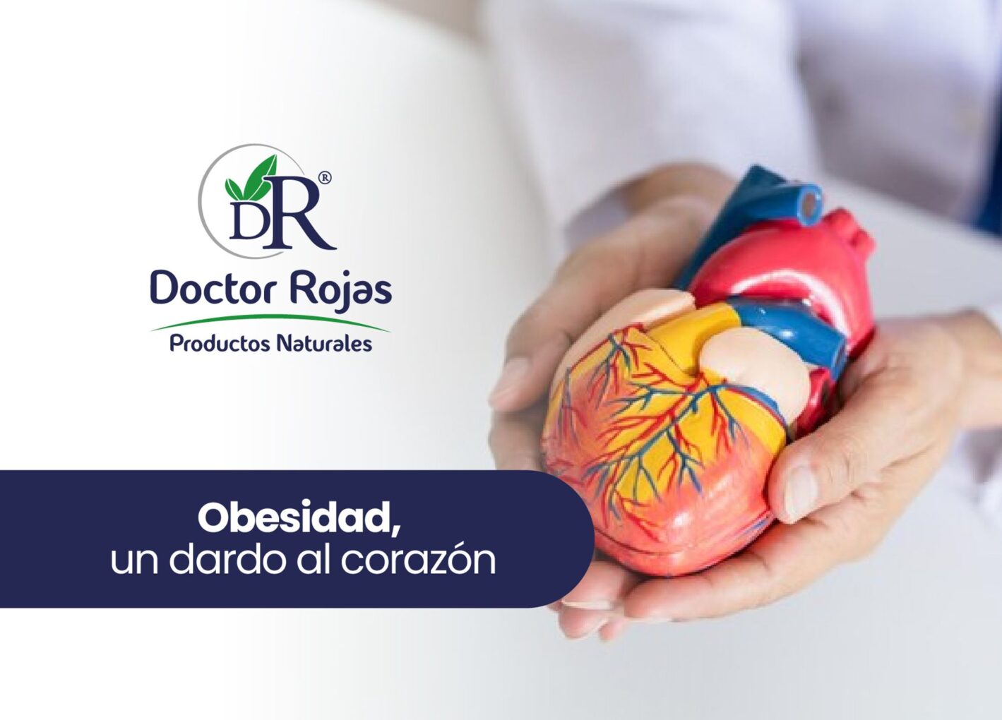 Obesidad, un dardo al corazón