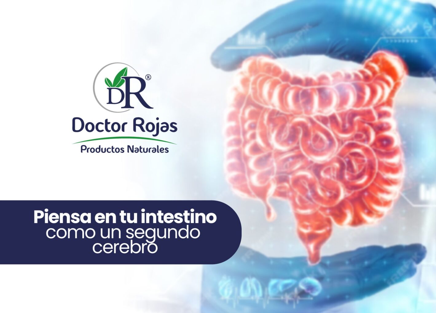 Piensa en tu intestino como un segundo cerebro