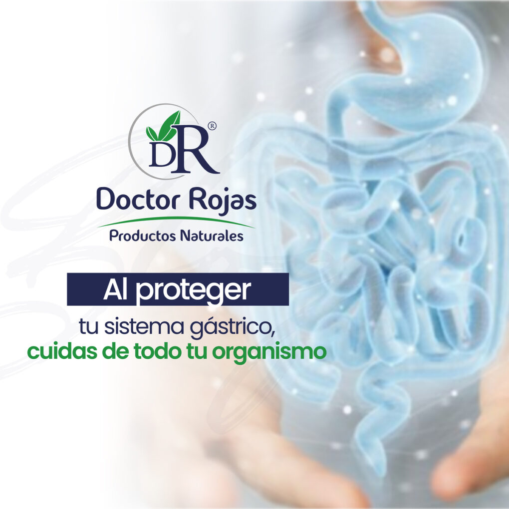 Al proteger tu sistema gástrico, cuidas de todo tu organismo