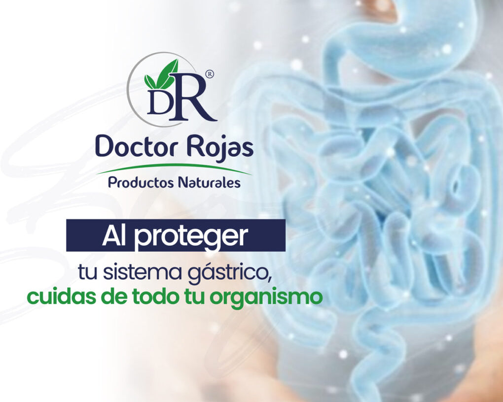 Al proteger tu sistema gástrico, cuidas de todo tu organismo