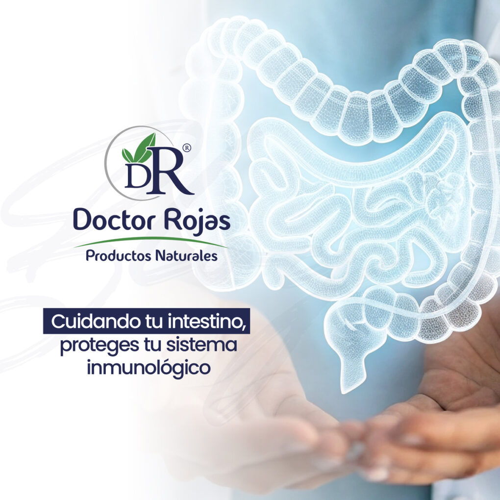 Cuidando tu intestino, proteges tu sistema inmunológico