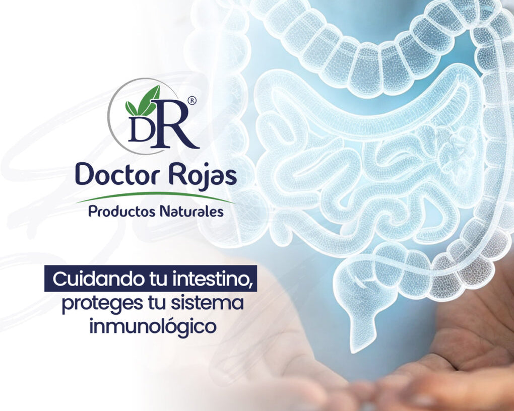 Cuidando tu intestino, proteges tu sistema inmunológico