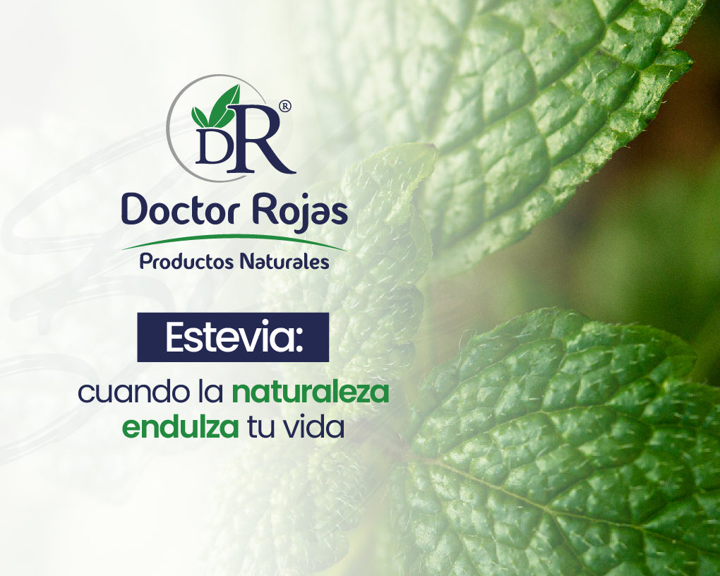 Estevia: cuando la naturaleza endulza tu vida