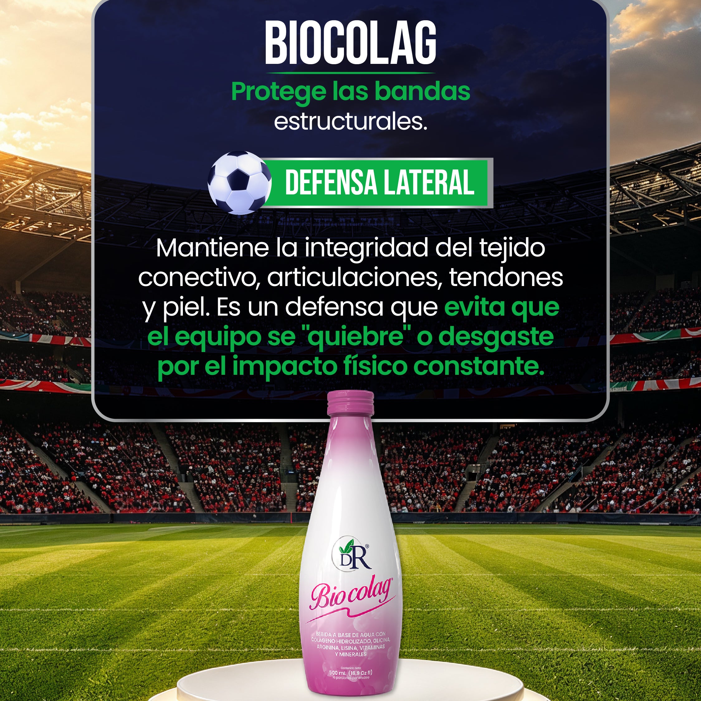 11_titulares_individuales-02.jpg