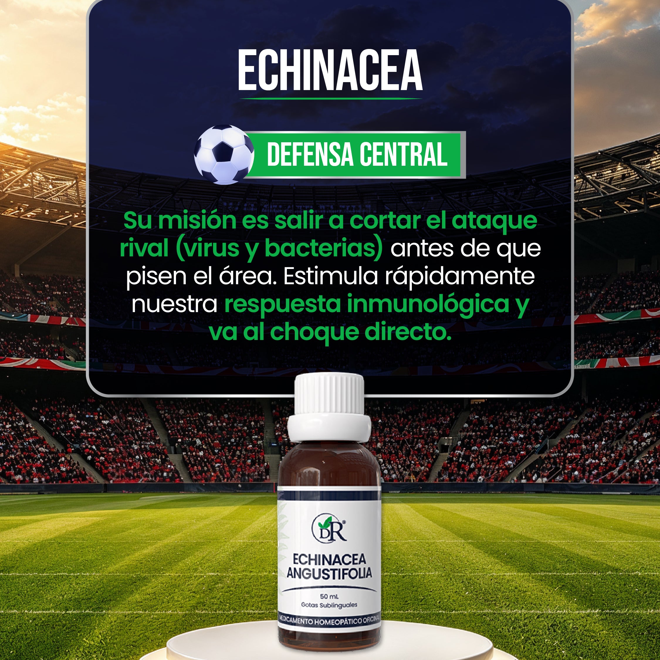 11_titulares_individuales-05.jpg