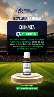 ECHINACEA
