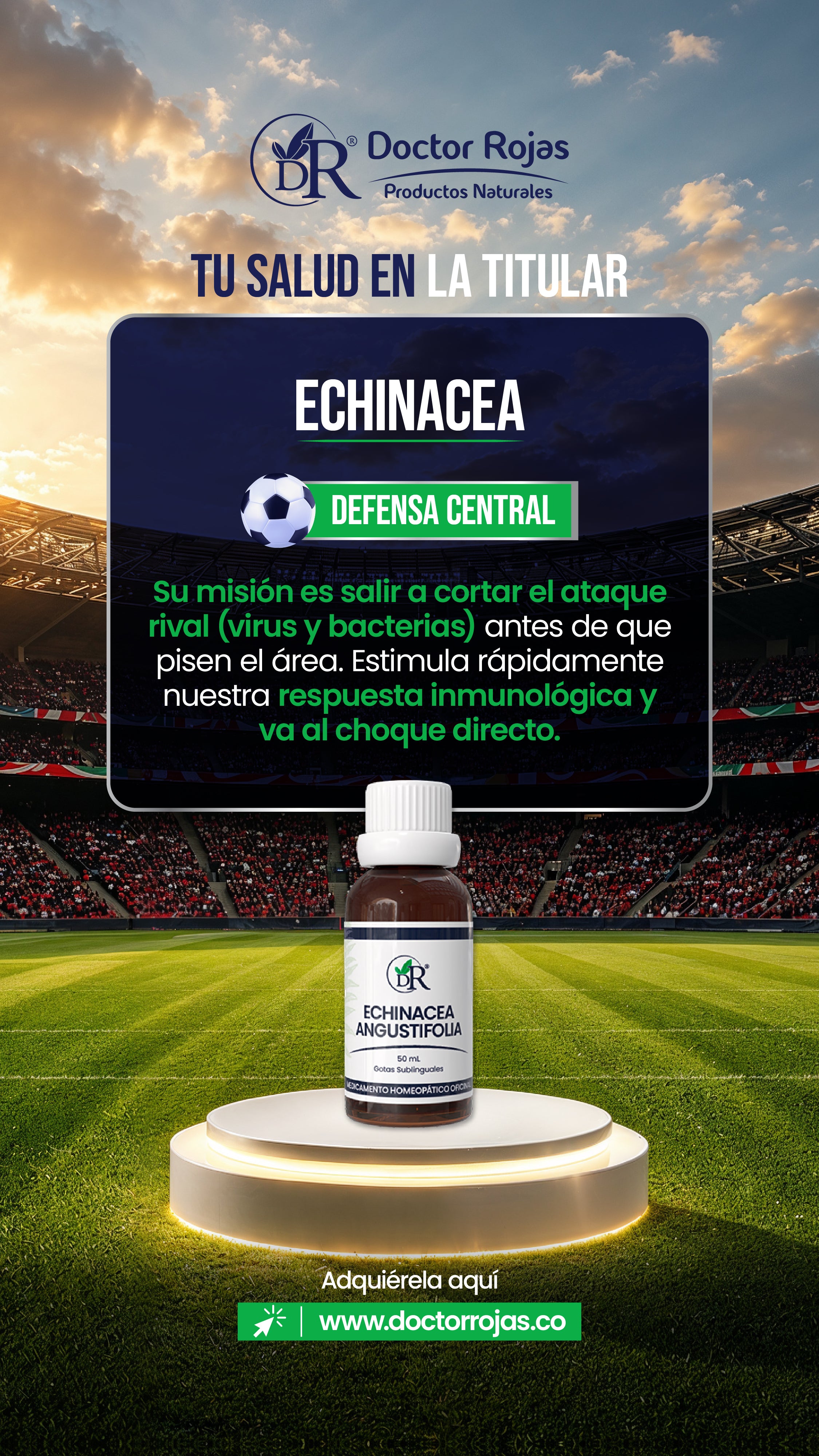 ECHINACEA