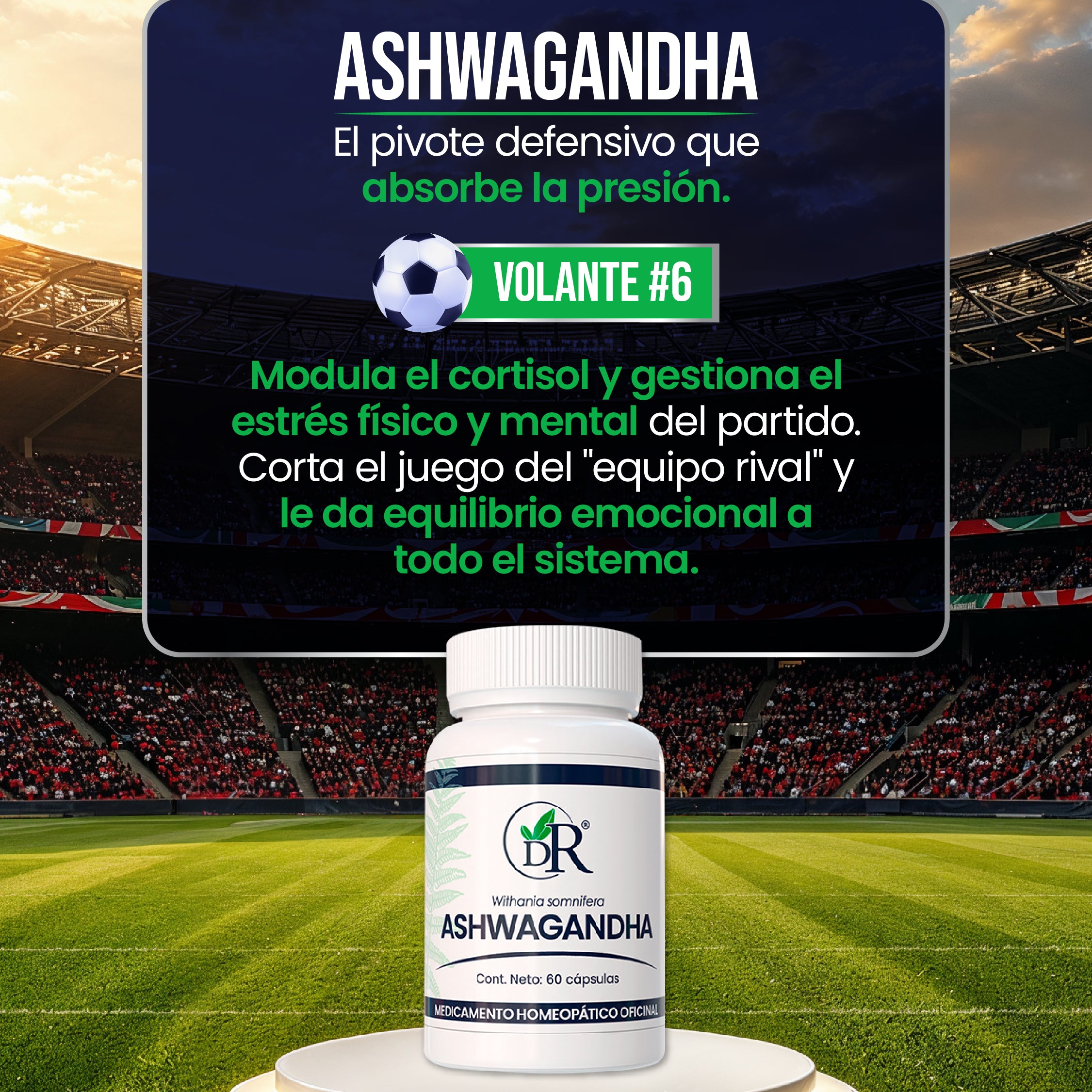 11_titulares_individuales-06.jpg
