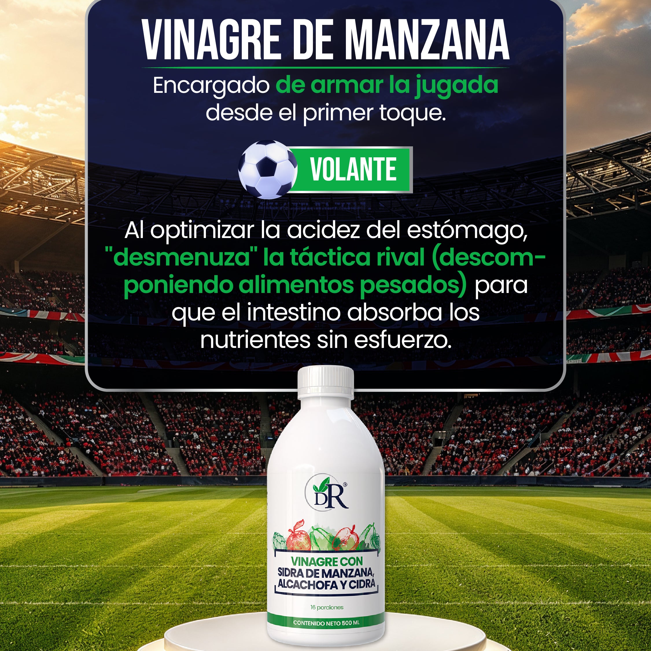 11_titulares_individuales-07.jpg