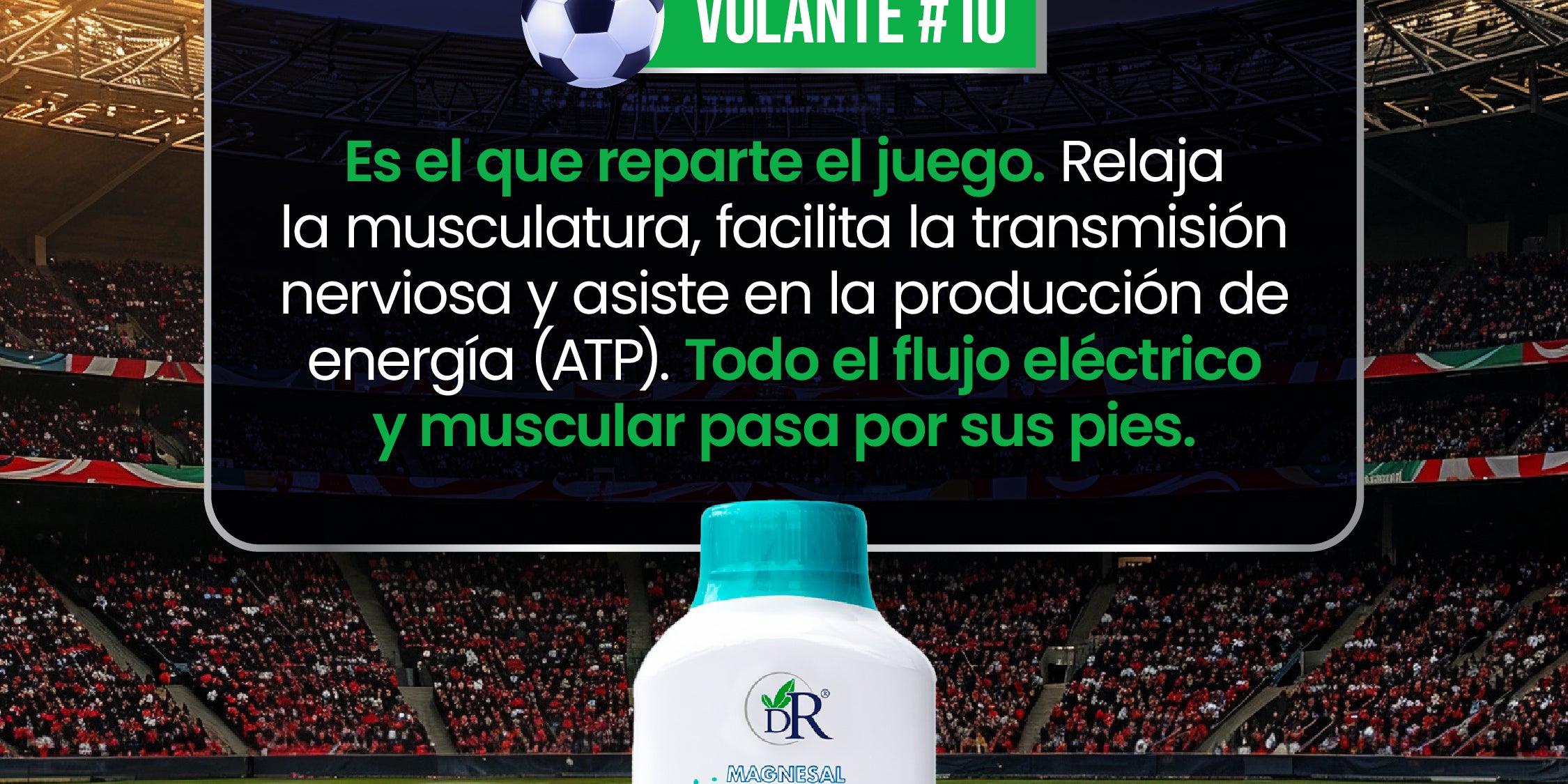 11_titulares_individuales-08.jpg