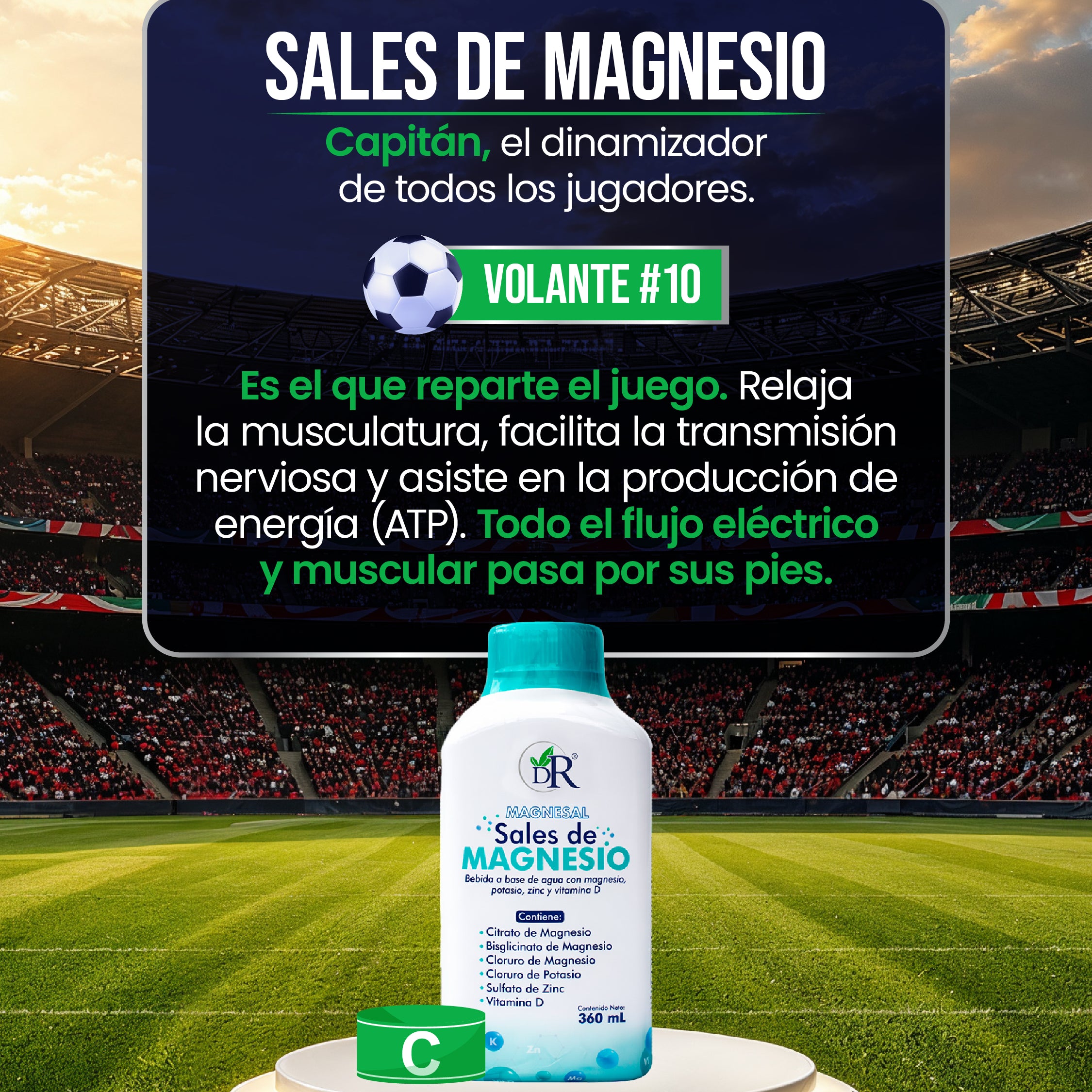 11_titulares_individuales-08.jpg
