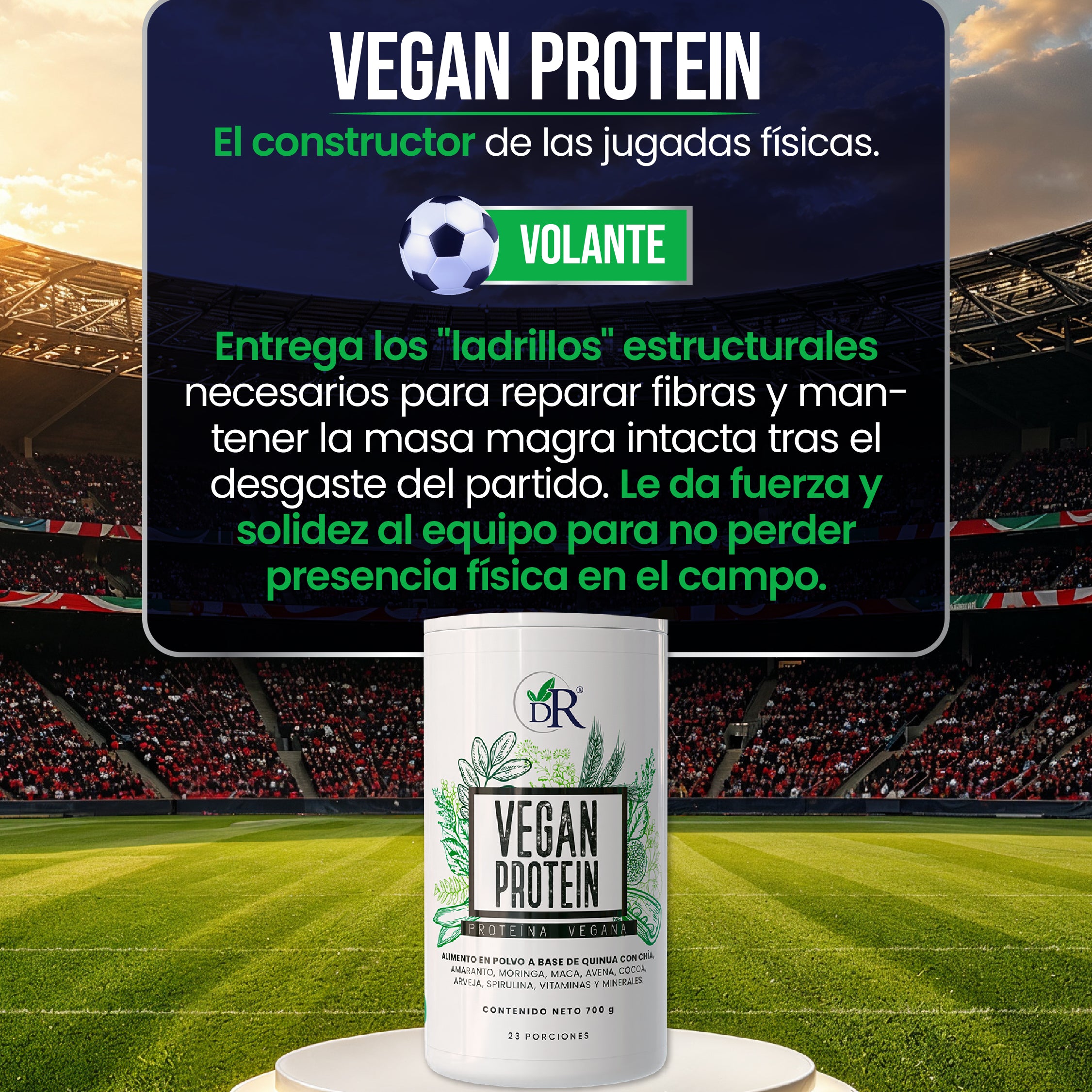11_titulares_individuales-09.jpg