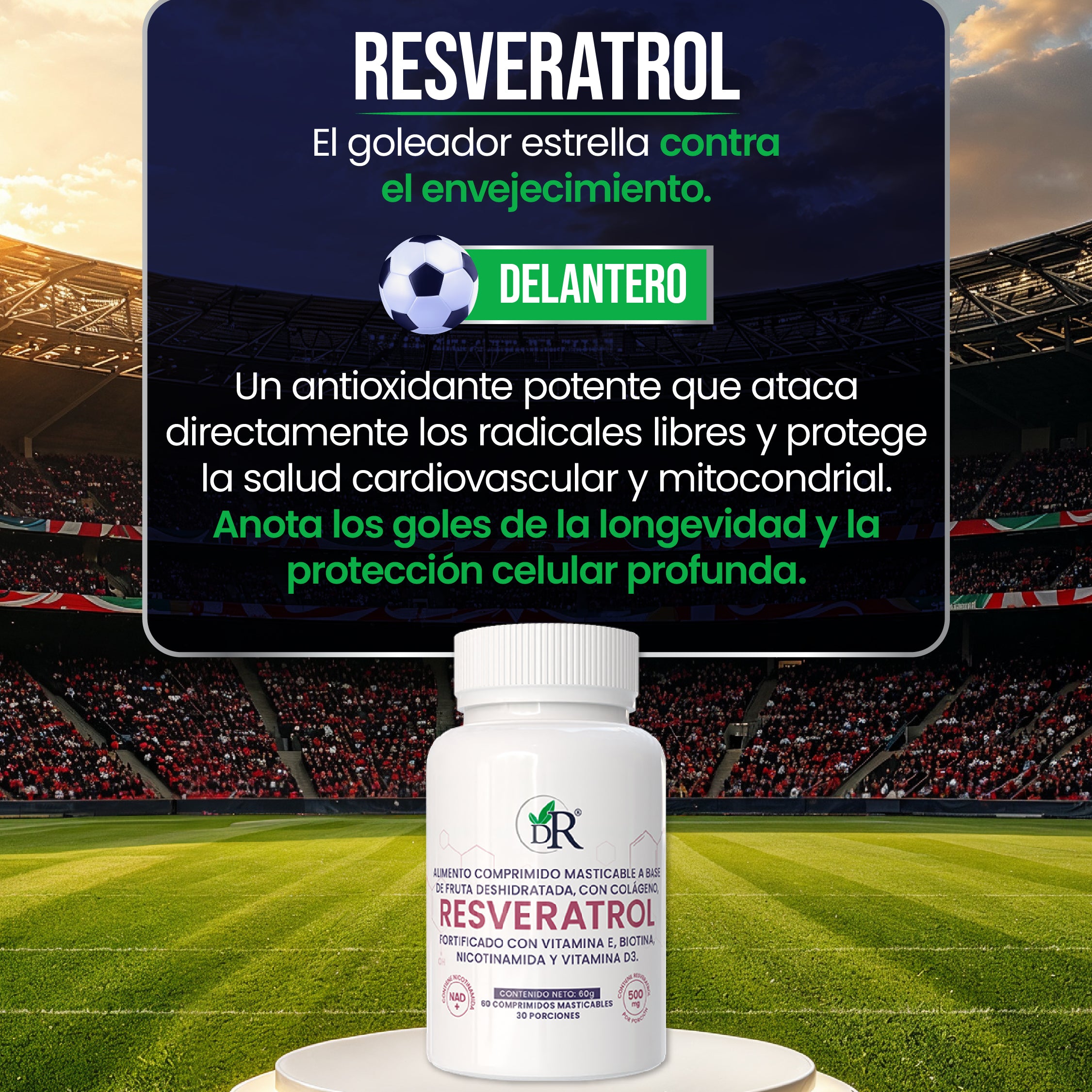 11_titulares_individuales-10.jpg