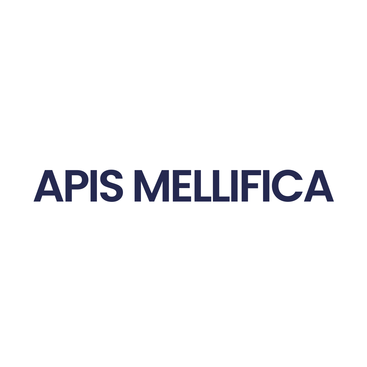 Apis_Mellifica_171b9dec-3798-4df5-9825-4fe2df8275d6.png