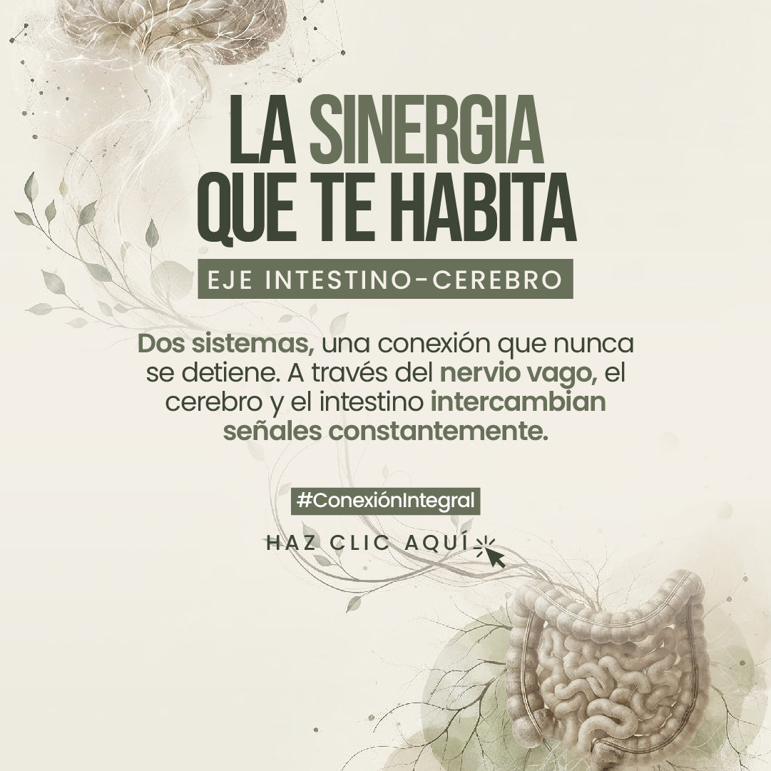 Banners_web_eje_intestino-cerebro_Banner_vertical.jpg