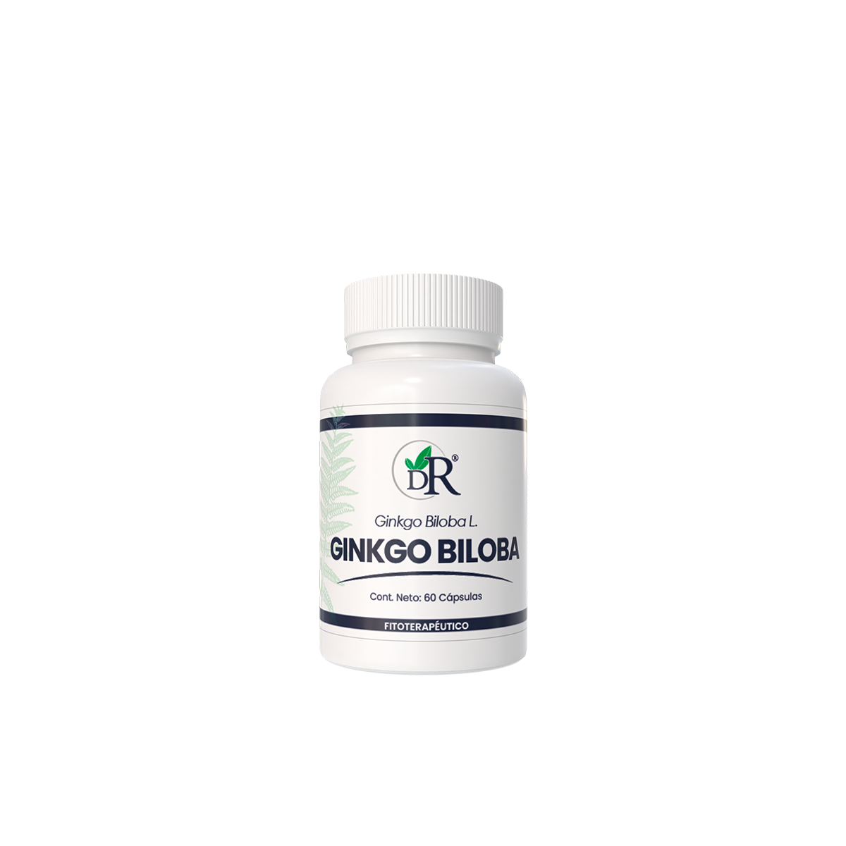 Gingko_biloba.png