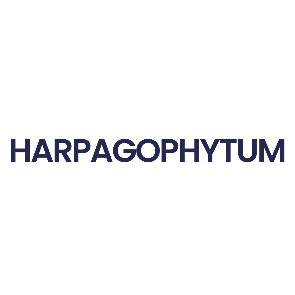 Harpagophytum_b7408db2-421a-4184-afdc-f107d0f69288.png