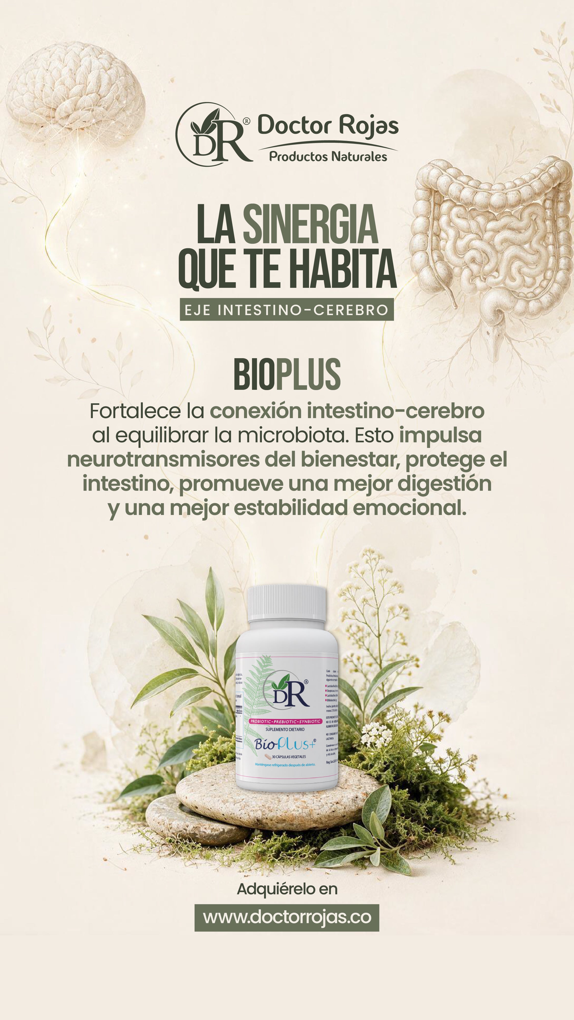 BIO-PLUS