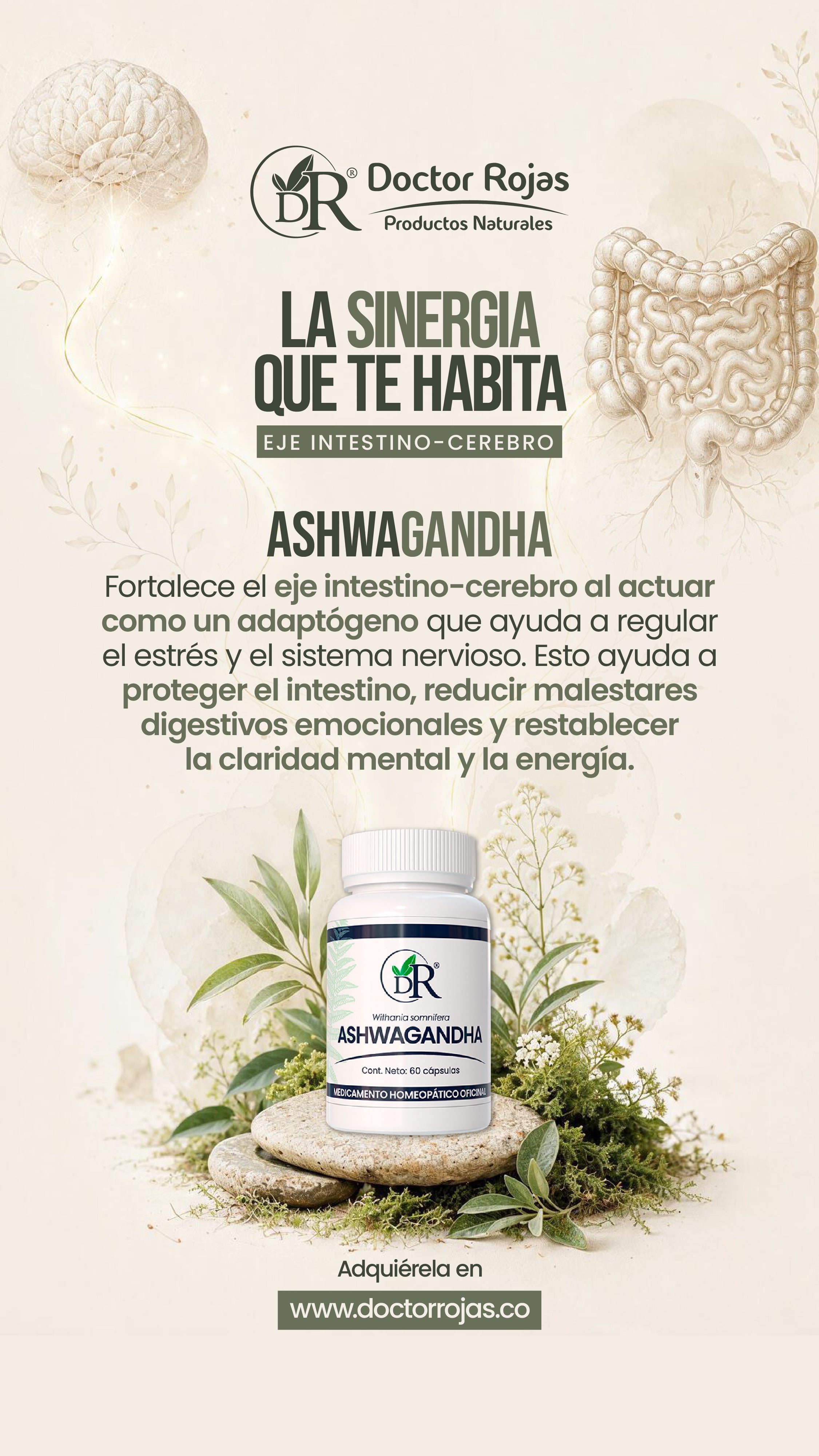 ASHWAGANDHA DH3 X60CAP