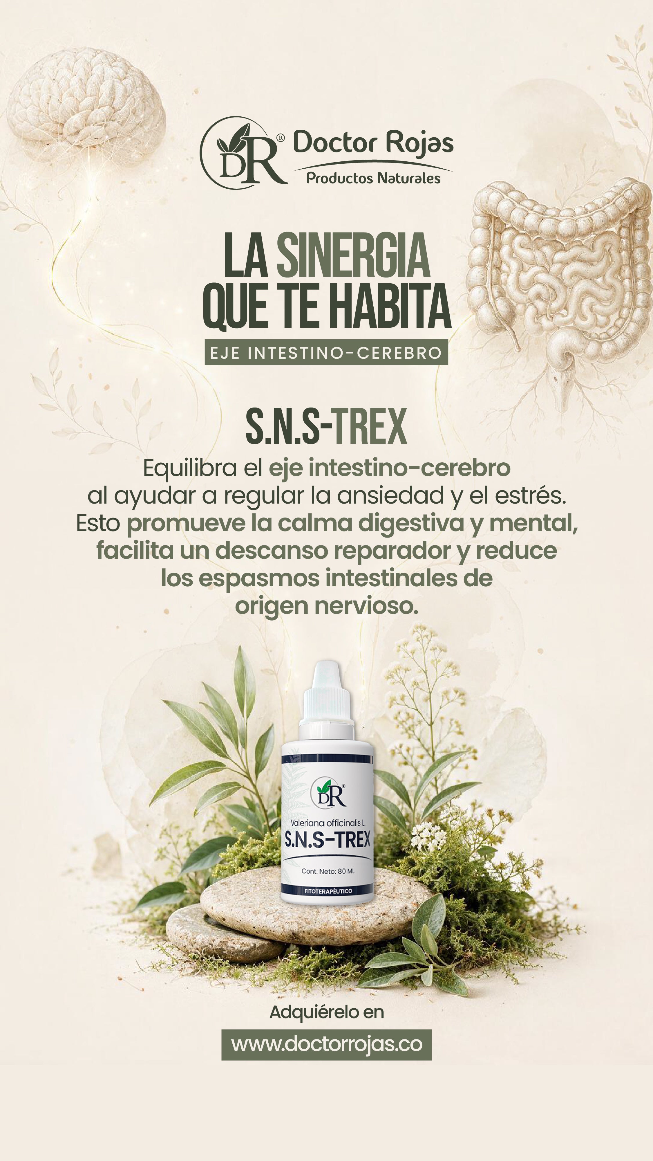 S.N.S TREX