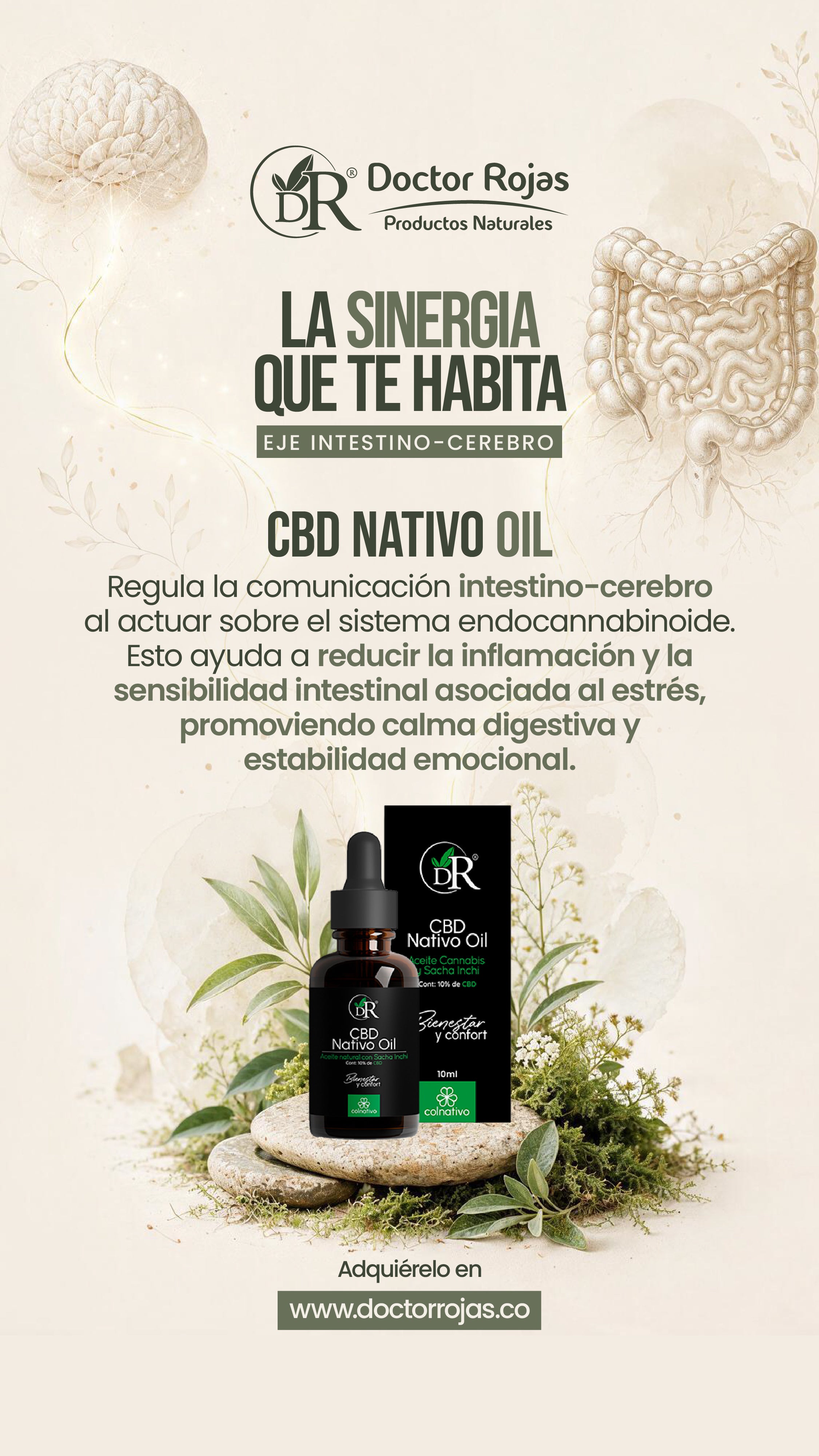 CBD NATIVO OIL