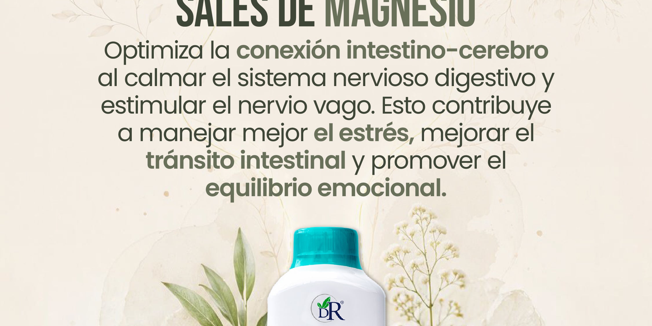 Intestino_cerebro_inddividual_Mesa_de_trabajo_1.jpg