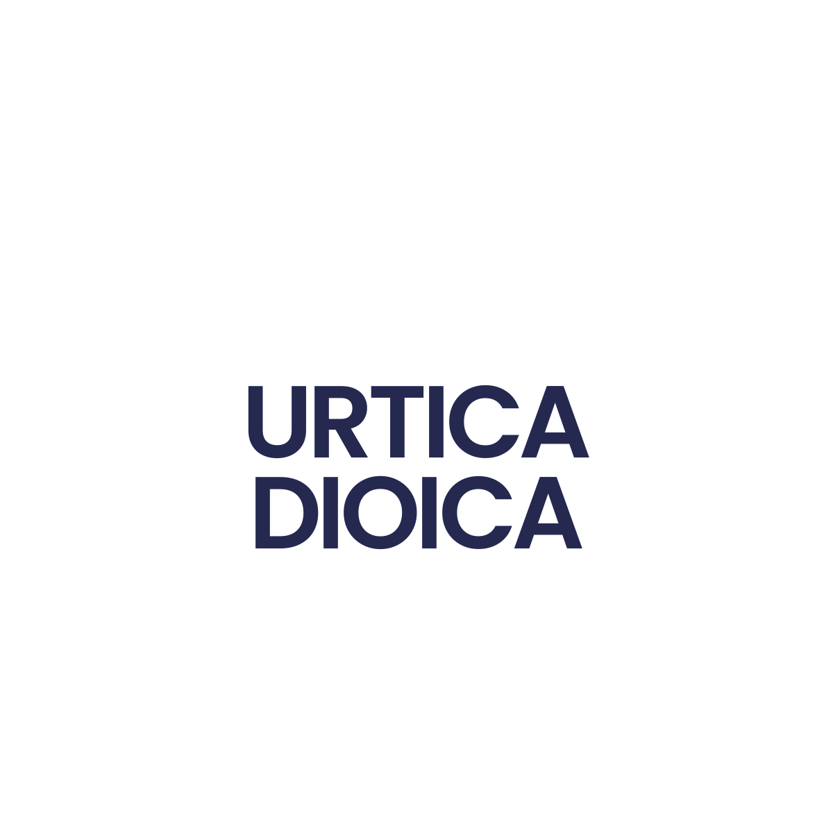 Urticadioica_e73b067c-b2c2-454c-a362-e90f066b8a14.png